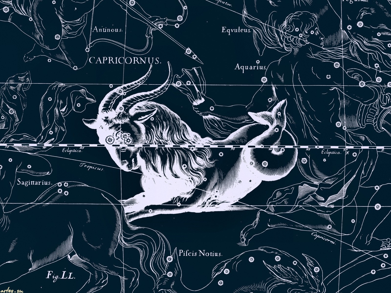 Star Chart Capricorn Wallpaper And Image