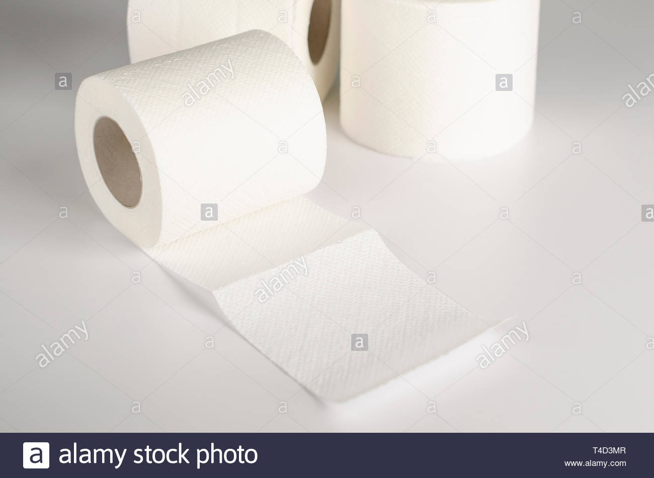 Free download White toilet paper rolls on white background copy space ...