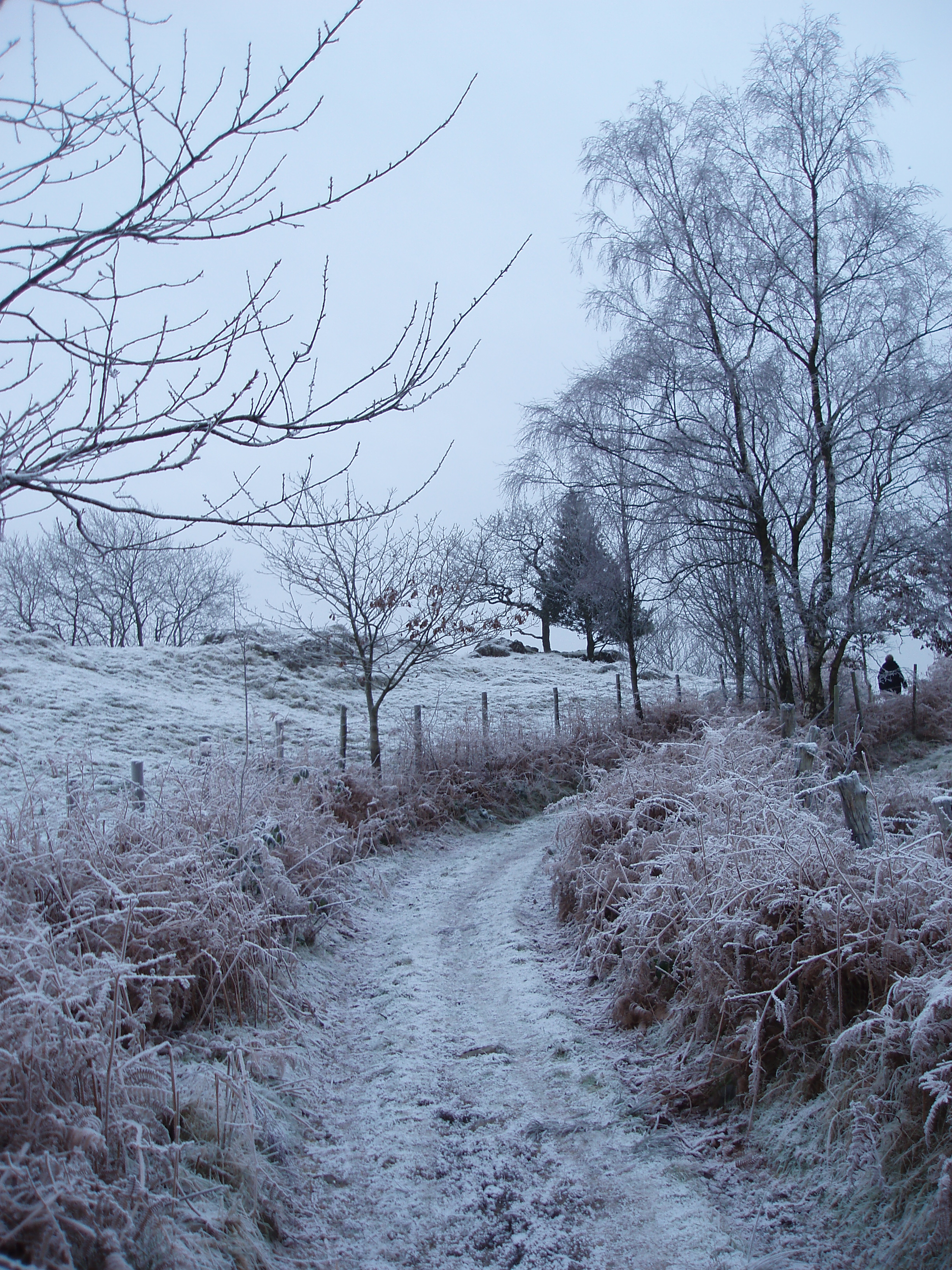 Winter Scene Rural Lane