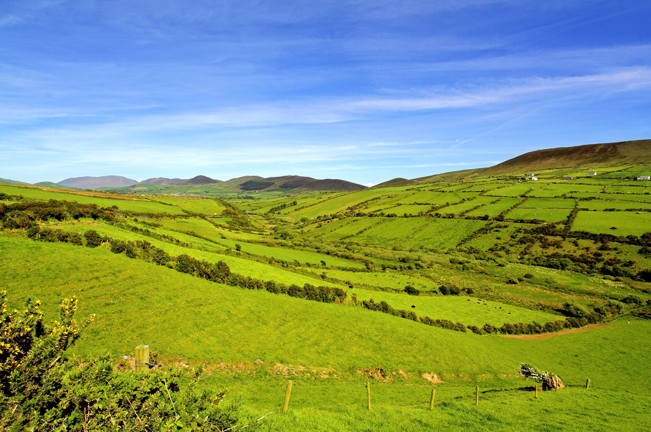 Typical Irish Landscape