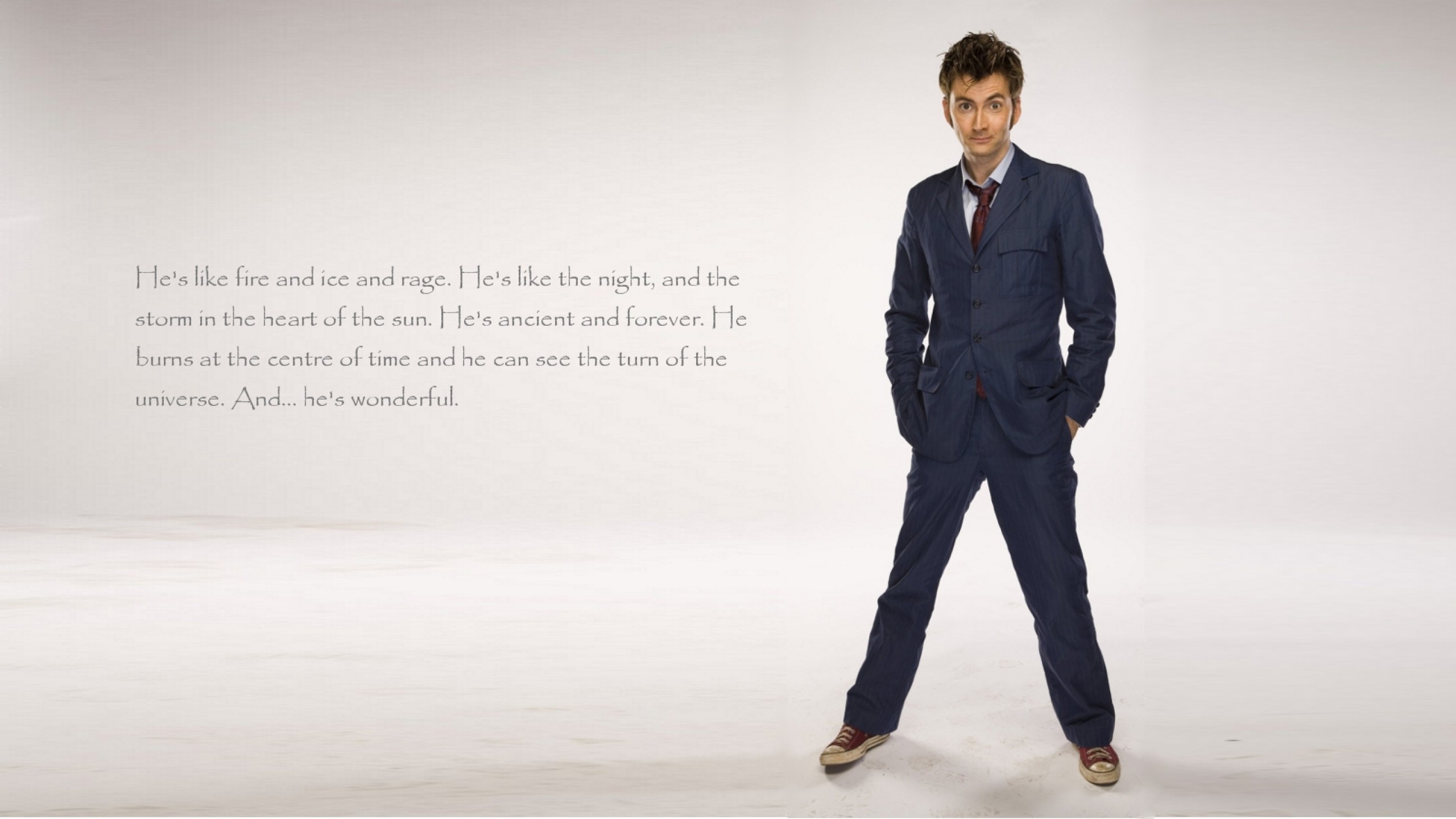 Doctor Who The Tardis David Tennant Tenth