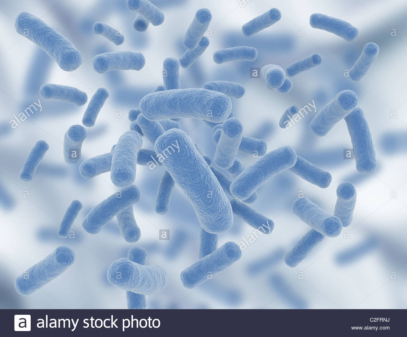 Science Background Bacteria Stock Photo