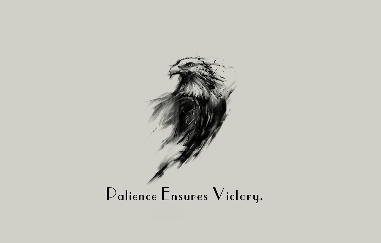 Wallpaper Eagle Minimalism Background Victory Quote Patience