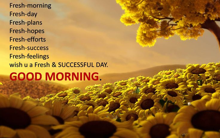Funny Saturday Morning Quotes Good Morning Happy Morning Wallpaper