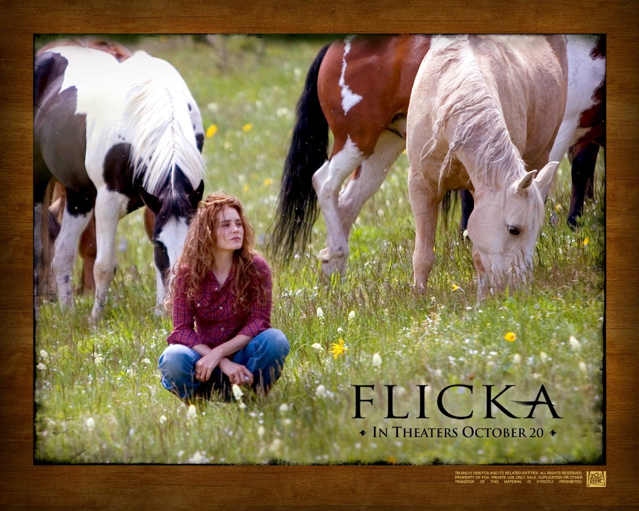 HD Wallpaper Flicka