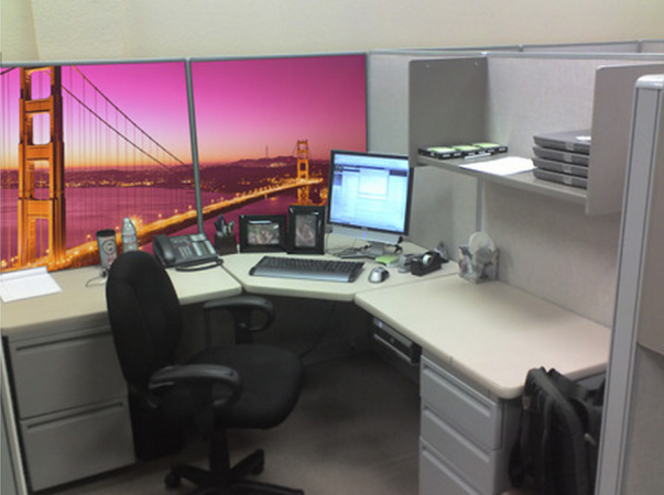 Cubicle Wallpaper Covers Beige Partitions Can T Conceal Life Of