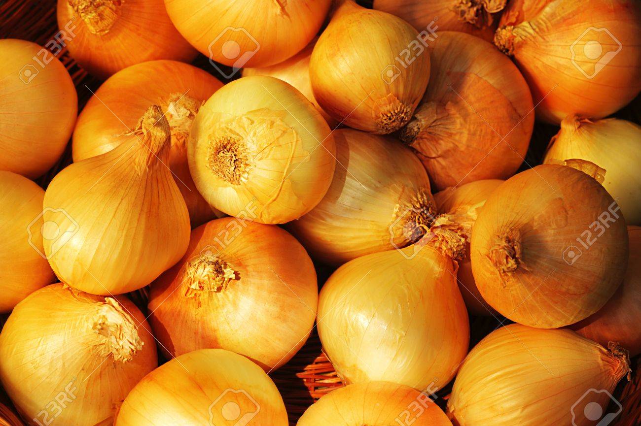 Raw Ripe Onions Background Fruitful Harvest Concept Stock Photo