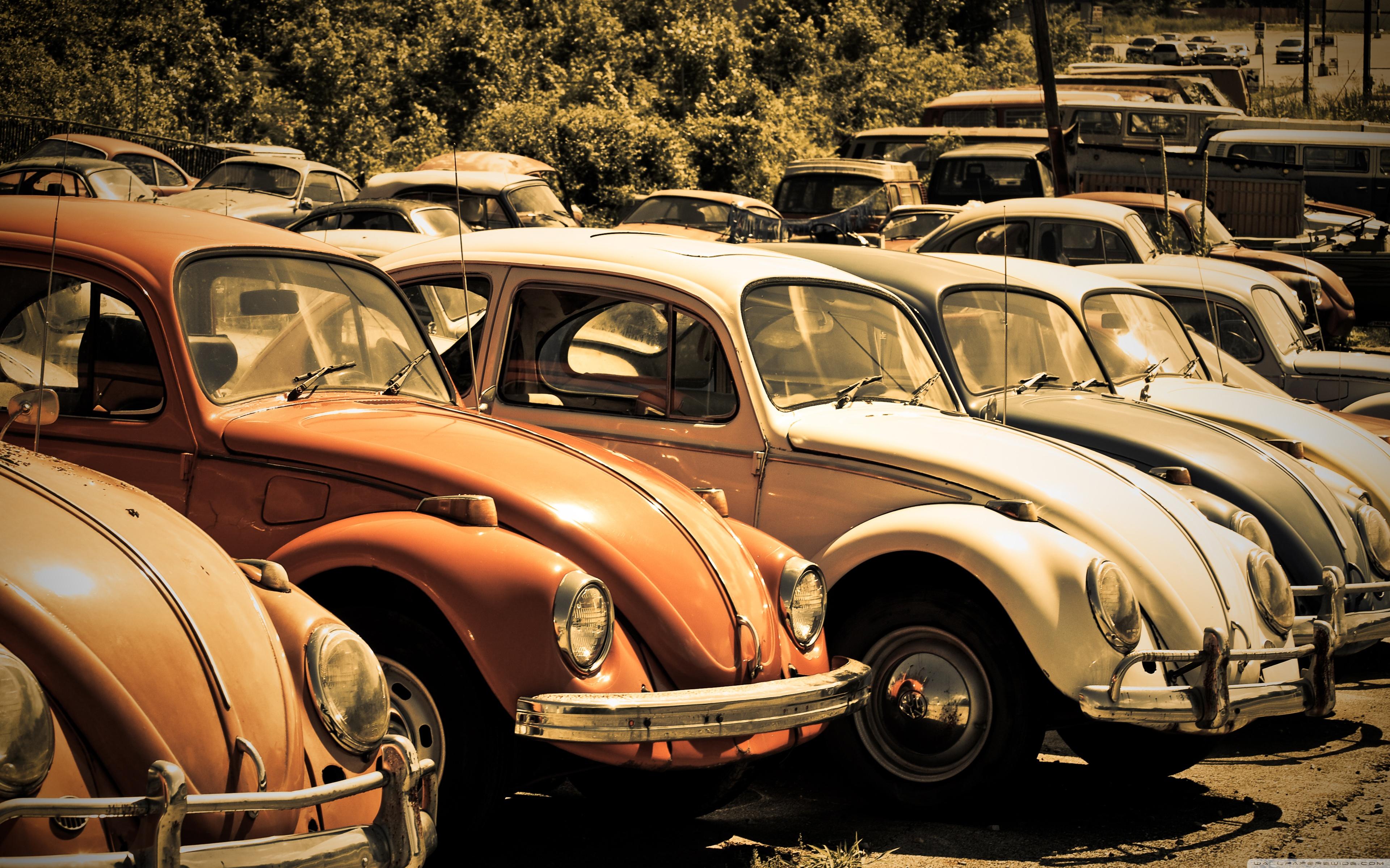 Old Volkswagen Beetle Junkyard Ultra HD Desktop Background