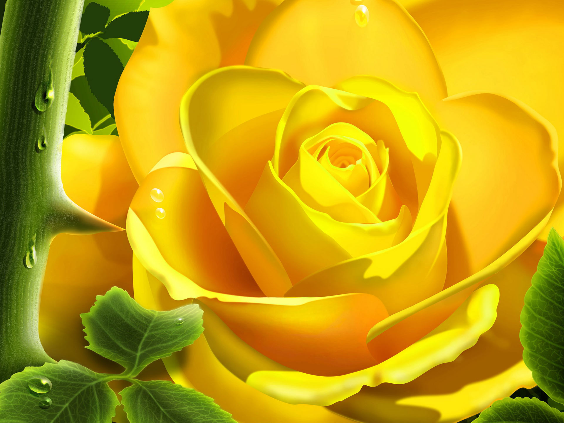 Single Yellow Rose Flowers Nature Background Wallpaper On
