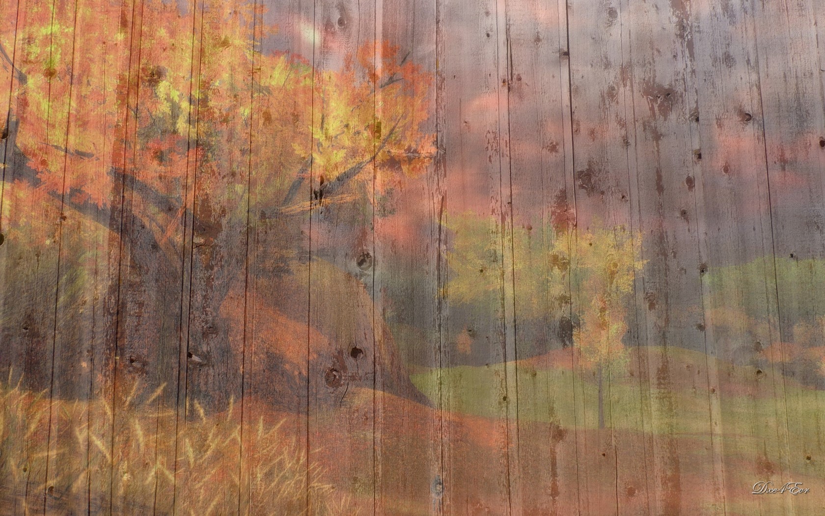 Fall On Barn Board Background Wallpaper