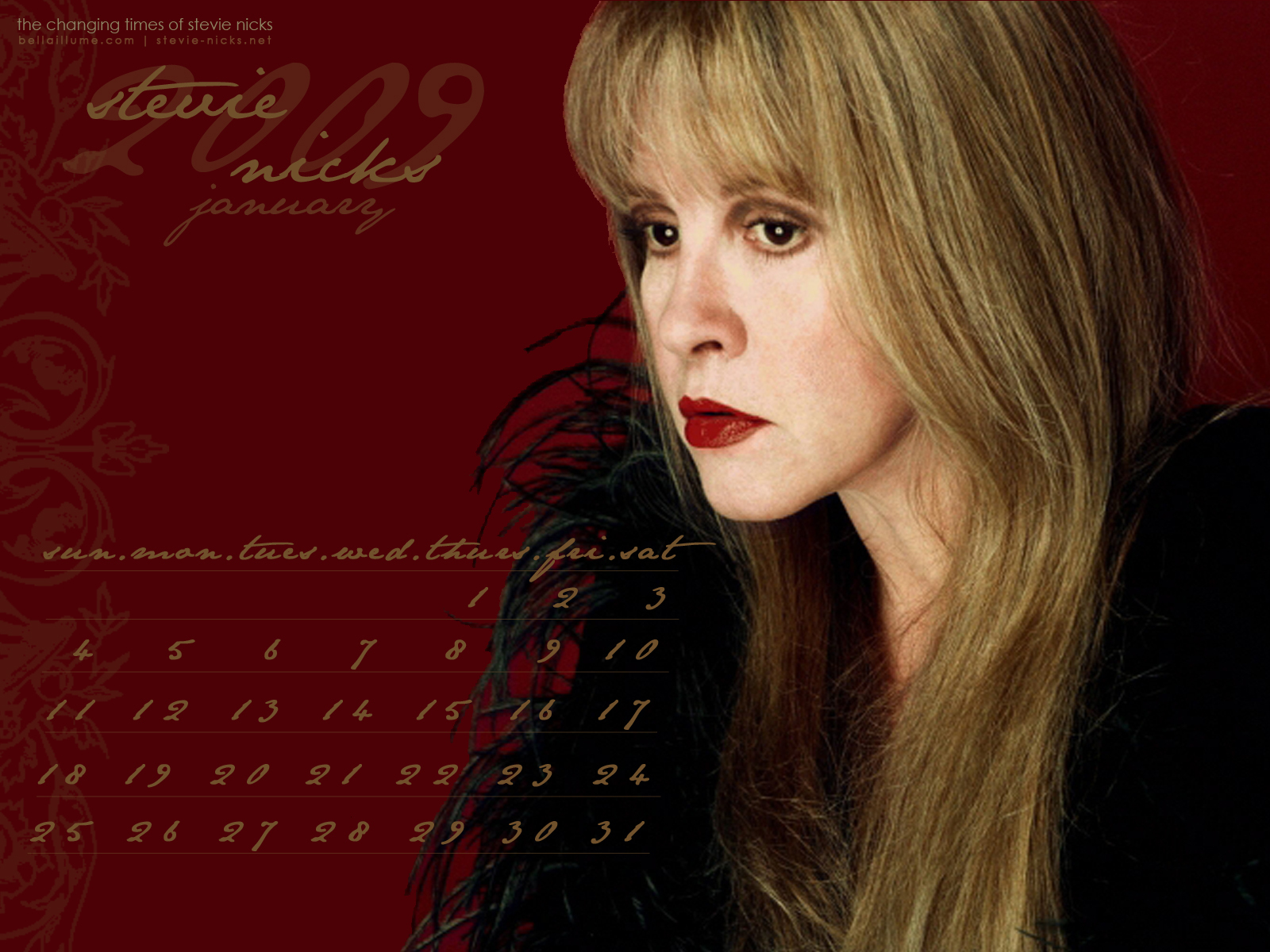 Stevie Nicks Wallpaper