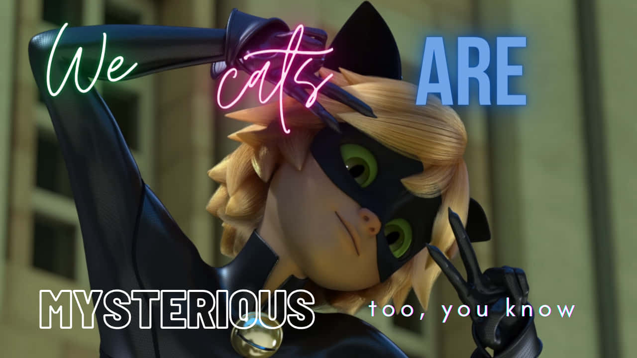 Cute Cat Noir Wallpaper