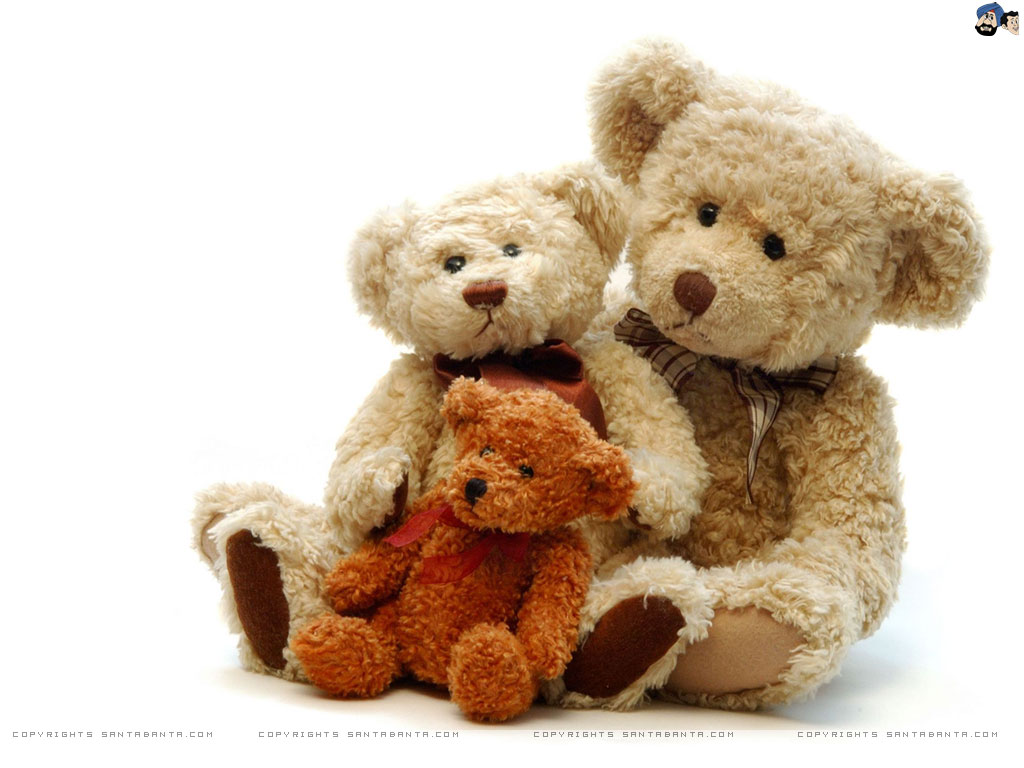 High Definition Teddy Bear Wallpaper And Image