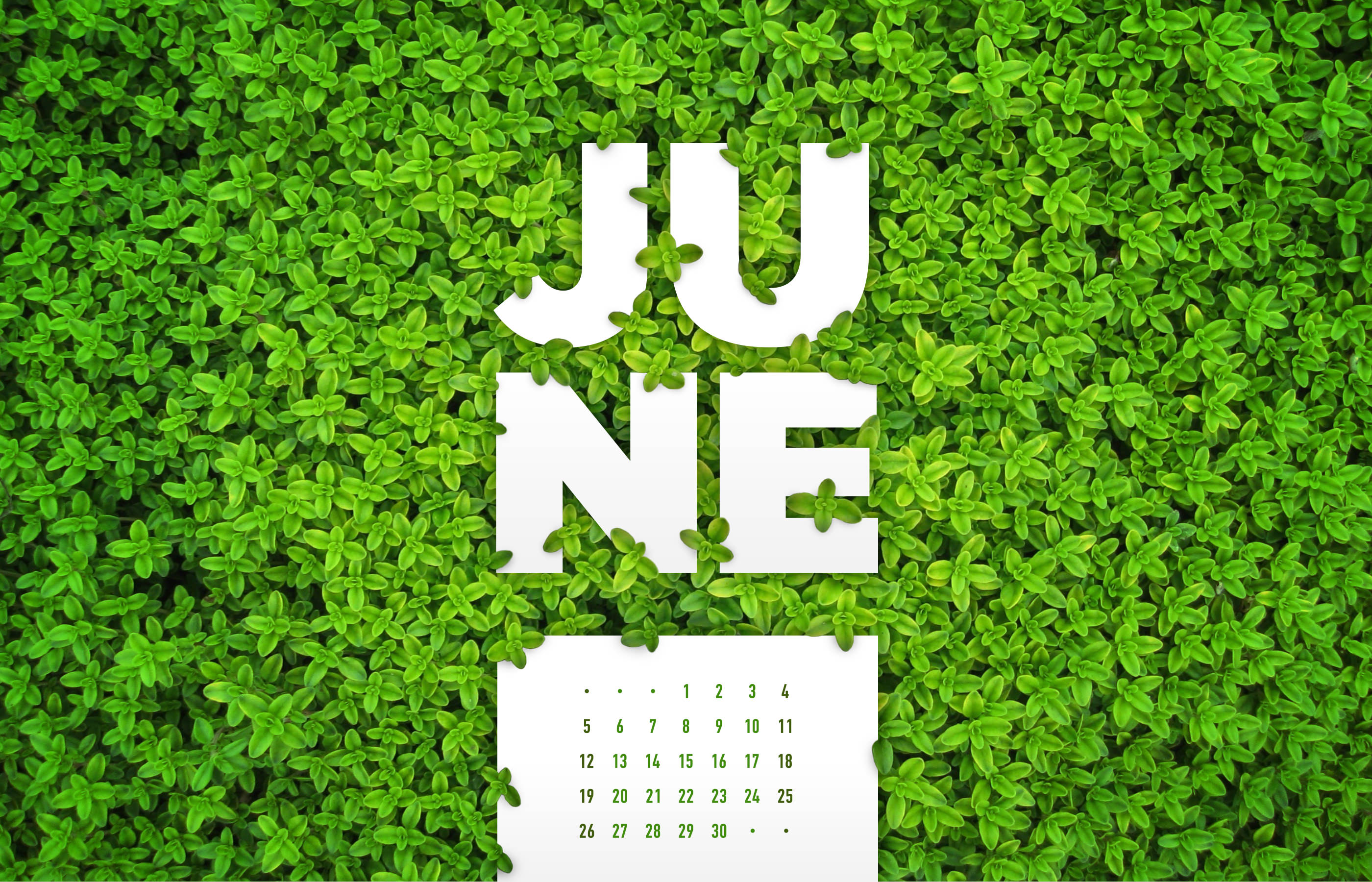 June Desktop Calendar Wallpaper Paper Leaf