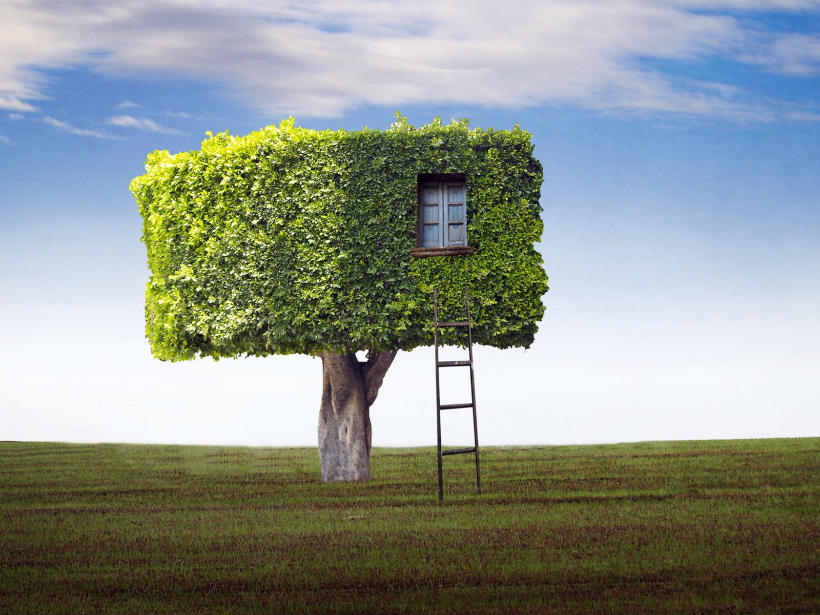 Tree House Abstract Desktop Pc And Mac Wallpaper
