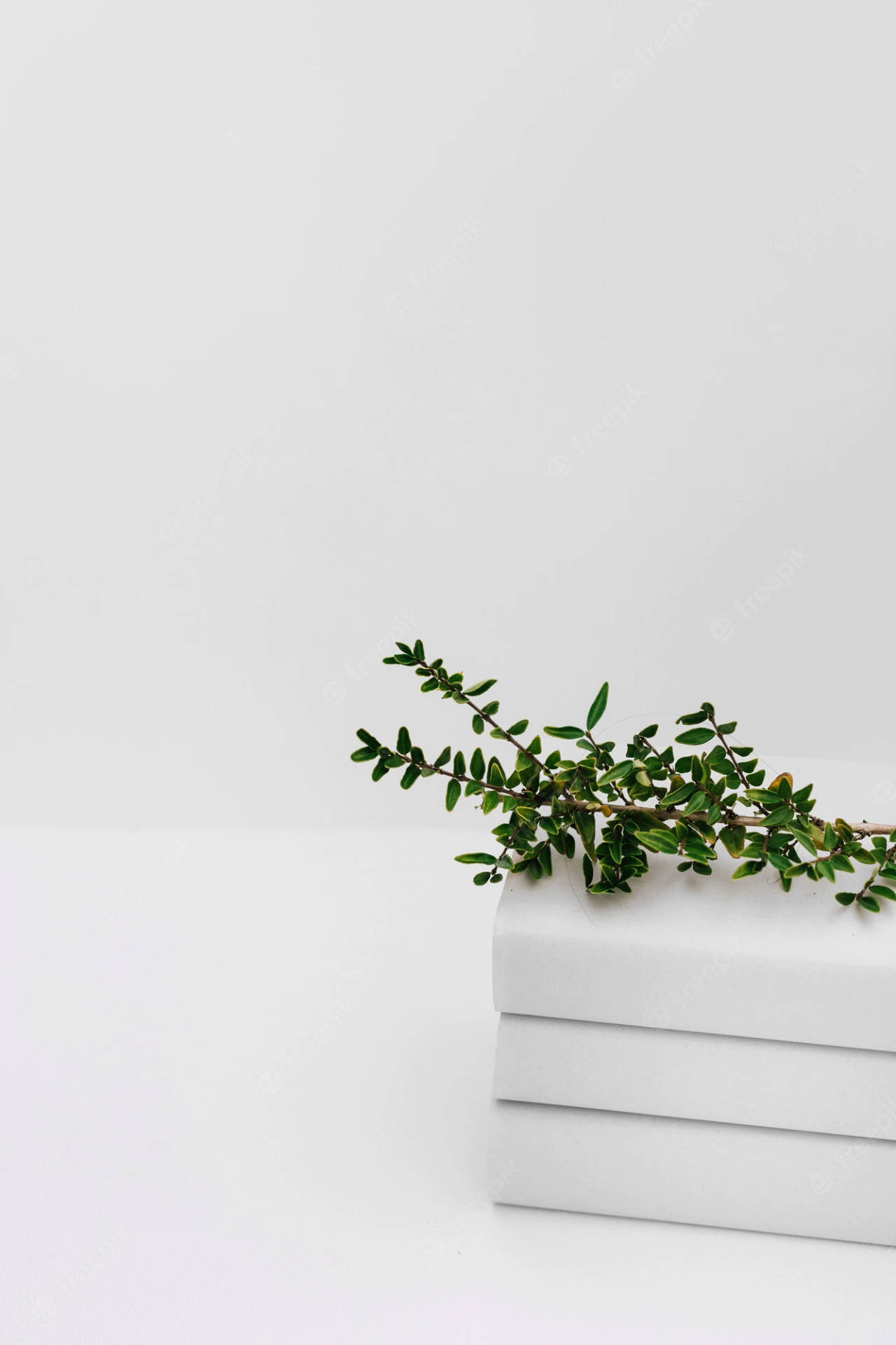 White Aesthetic Wallpaper
