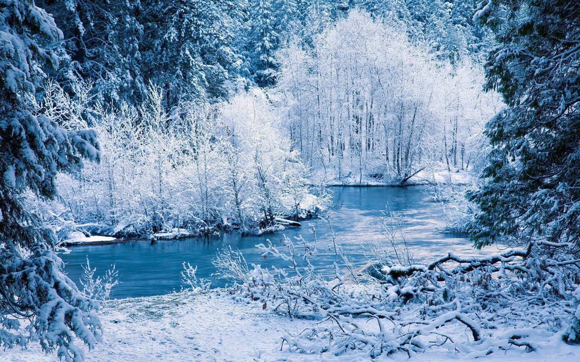 A serene winter landscape with a snow-covered river flowing through a forest of frosted trees