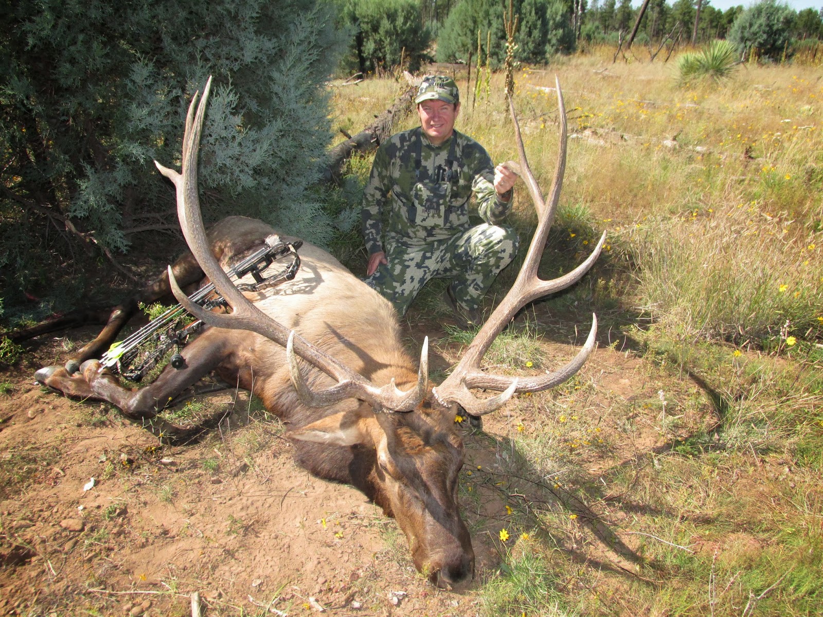 Elk Hunting Wallpaper Dave Mcneill Az Hunt