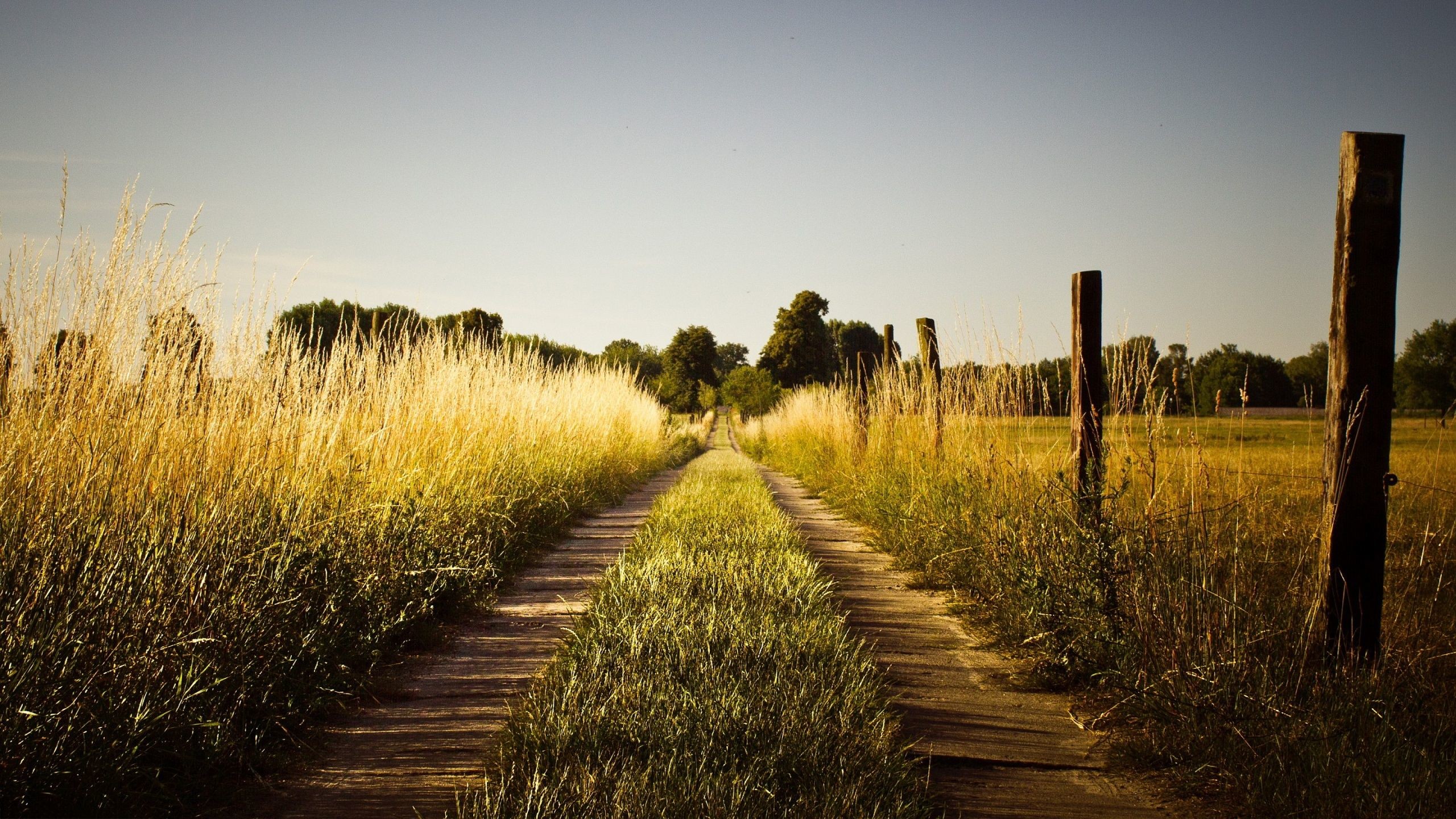 Country Roads Wallpaper