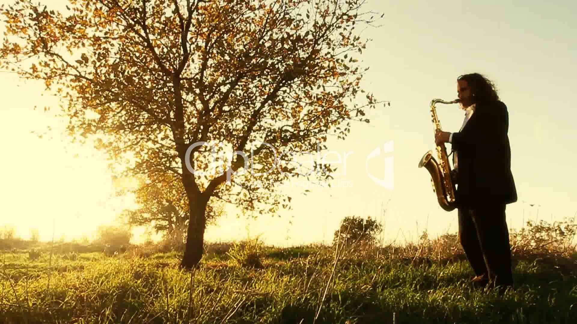 Jazz On Golden Saxophone In Nature Royalty Wallpaper Jpg