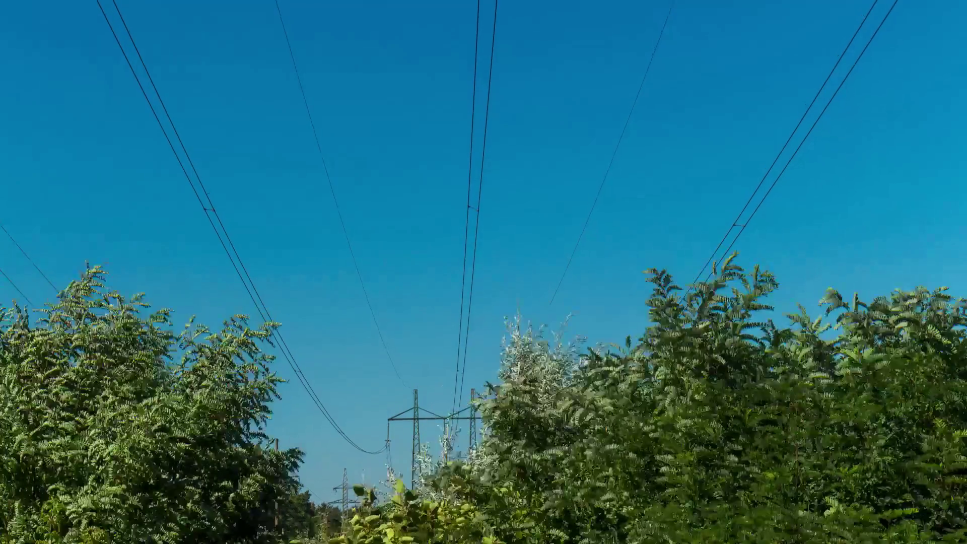 1080i Motion The Branches On Background Of High Voltage Line