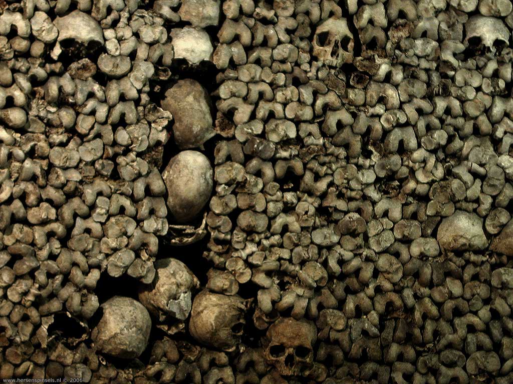 Skulls And Bones Wallpaper