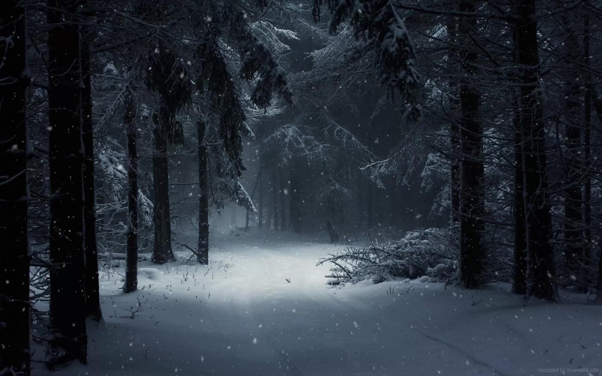 Dark Winter Forest Road Live Wallpaper
