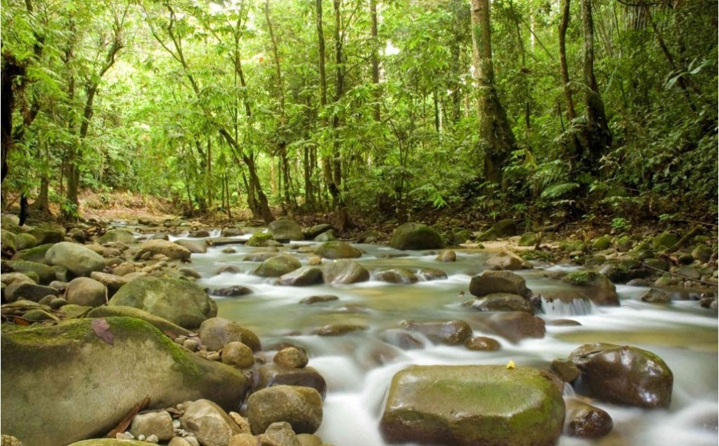 Free download mountain stream mural finest wallpaper [1030x640] for your Desktop, Mobile