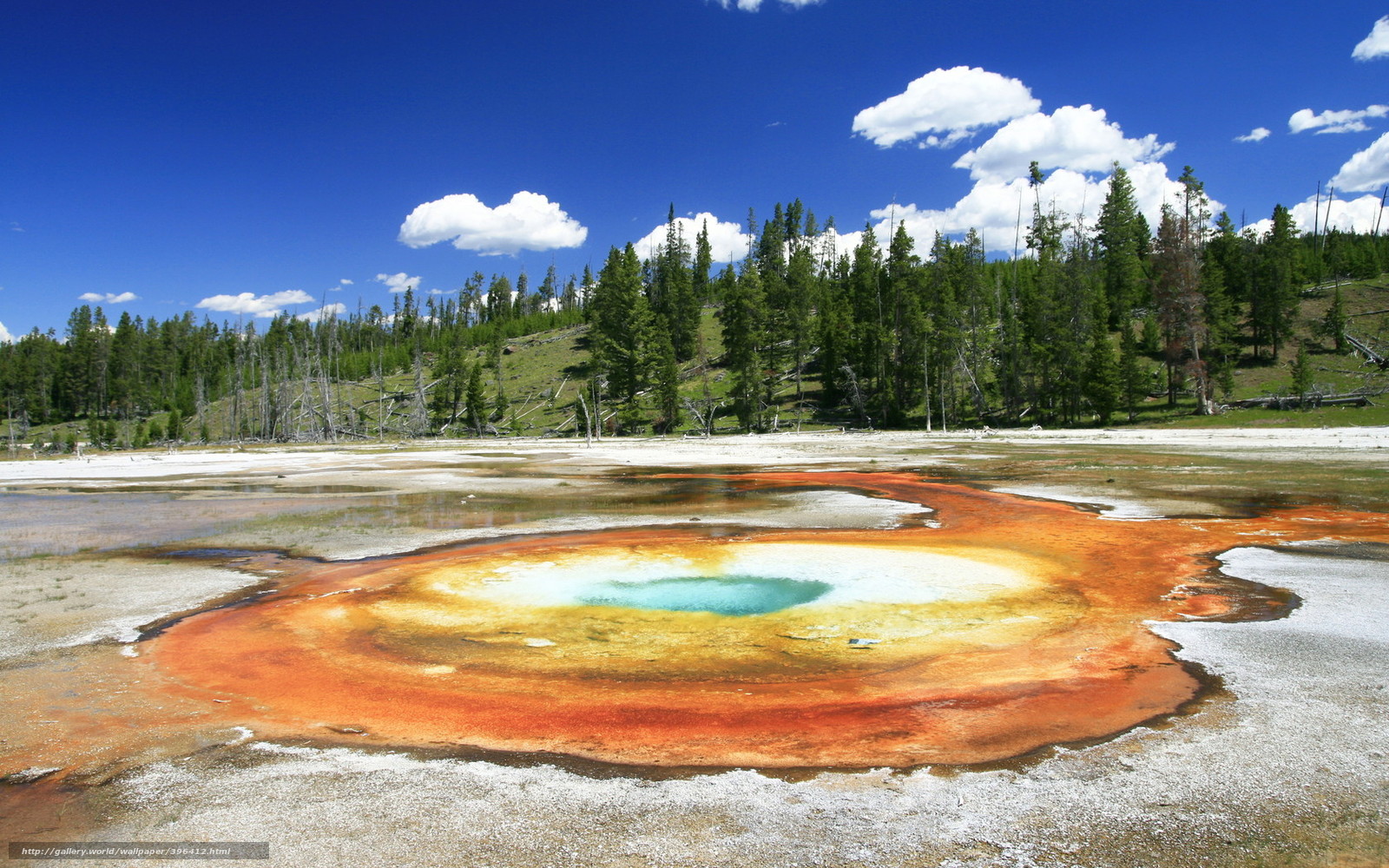 Wallpaper Yellowstone Reserve Lake Desktop