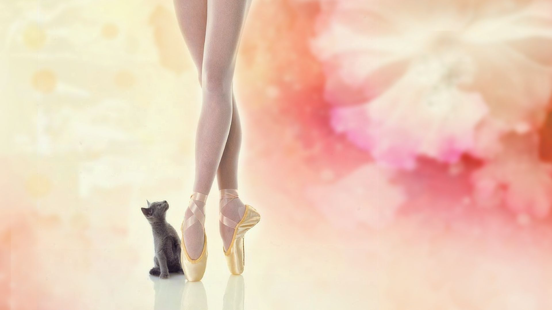 Artistic Ballerina HD Wallpaper And Background