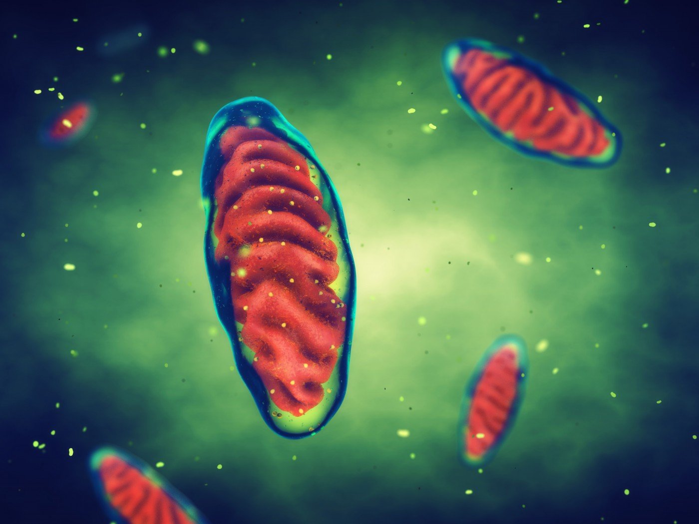 Case Links Mutation In Nuclear Gene With Mitochondrial Diseases