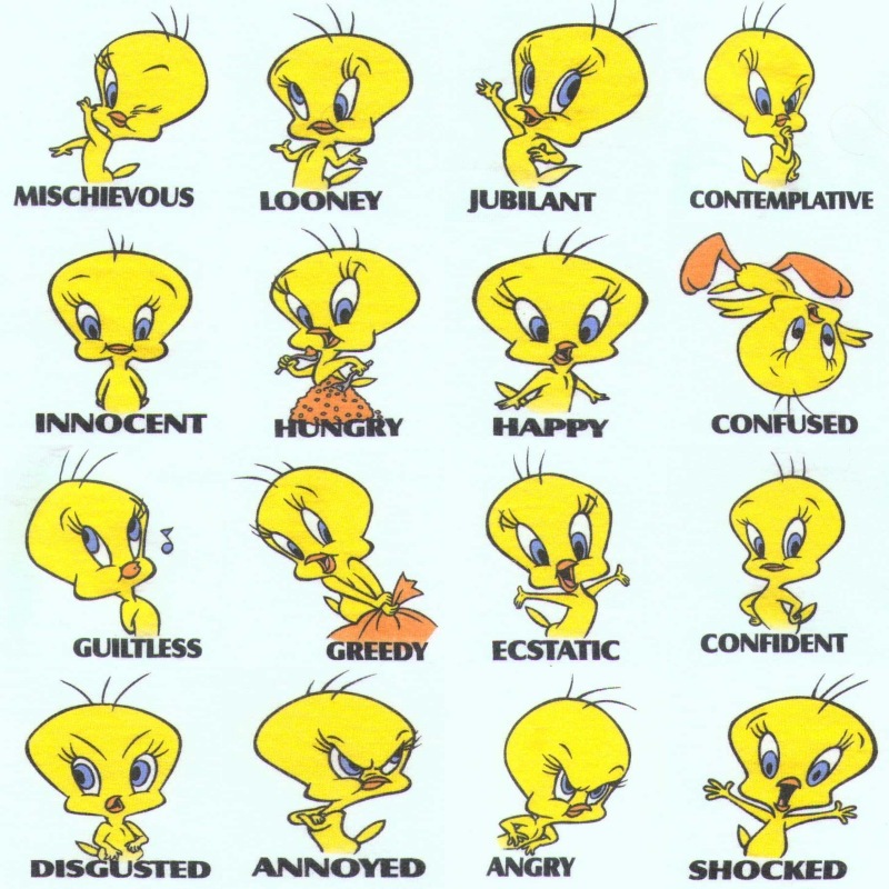 The Tweety Picture Gallery All Pictures Full Size
