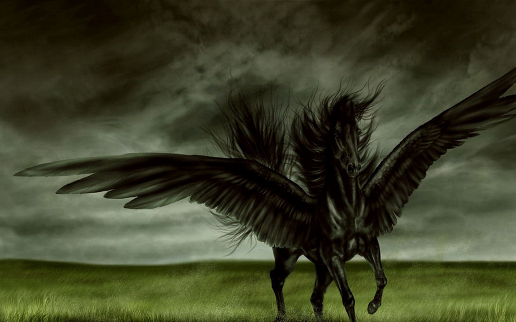 Fantasy Art Horses Pegasus Artwork Wallpaper