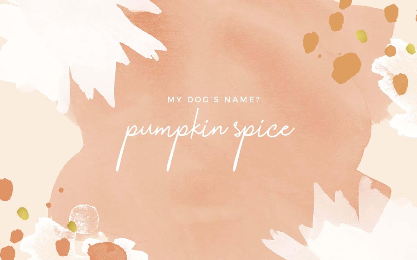 Cute Autumn Desktop Wallpaper