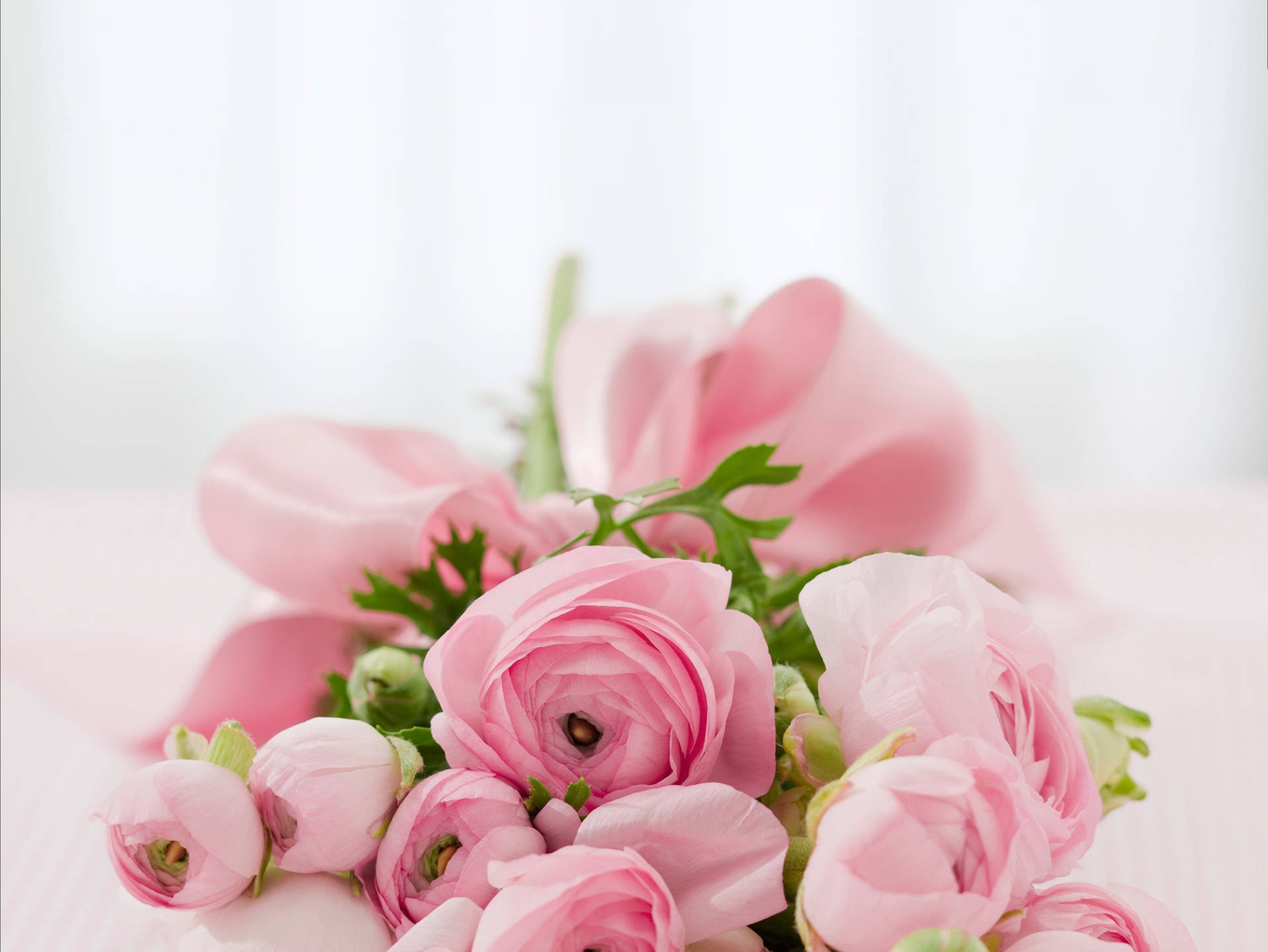 Pink Flowers Aesthetic Wallpaper S