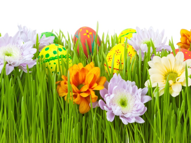 Spring Mood For Easter Wallpaper And Image Pictures