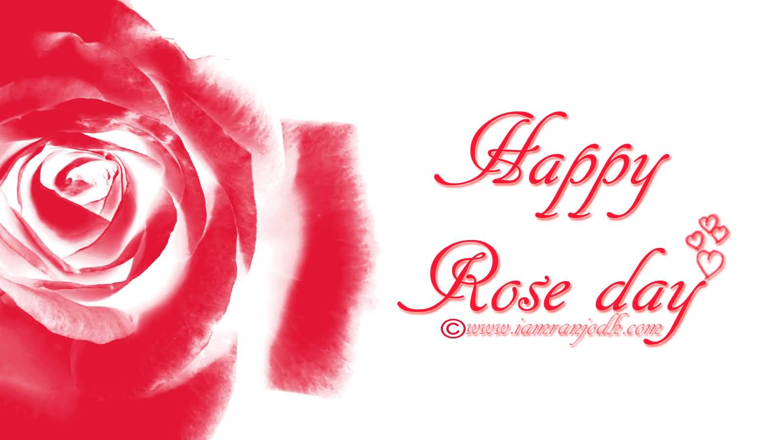 Adorable Rose Day Greeting Pictures And Image