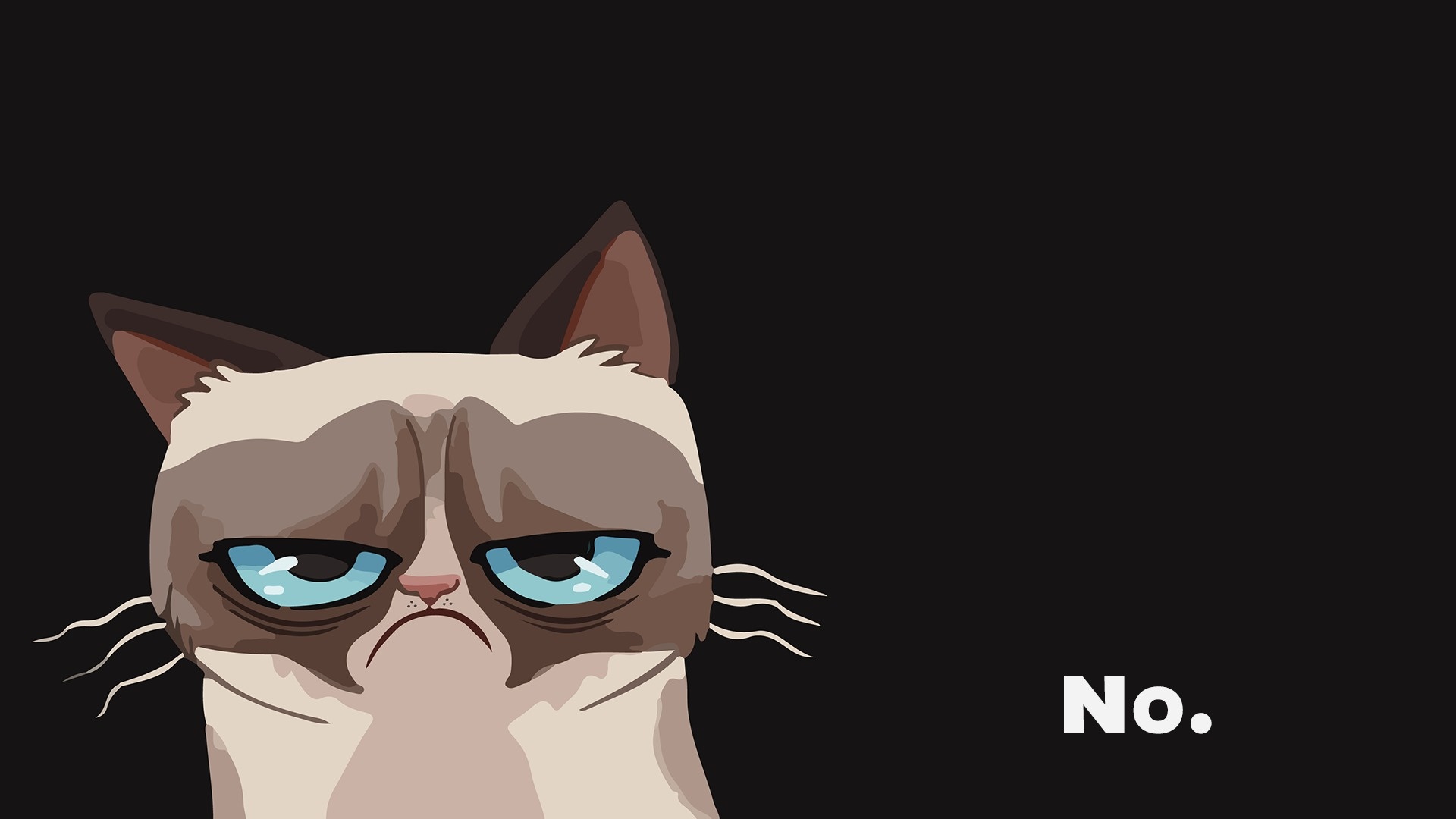 Cat Grumpy Wallpaper