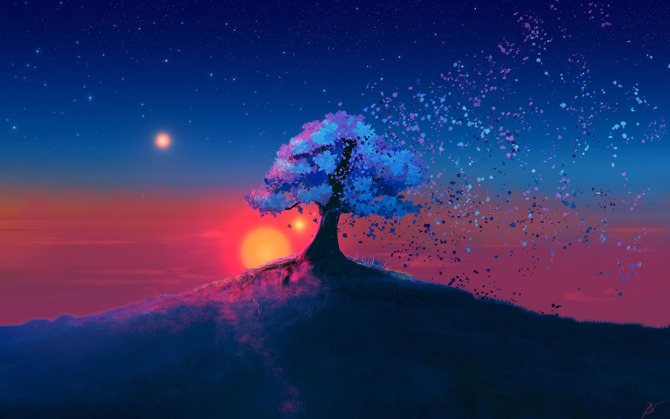 Fading Tree Music Indieartist Chicago Sunset Wallpaper
