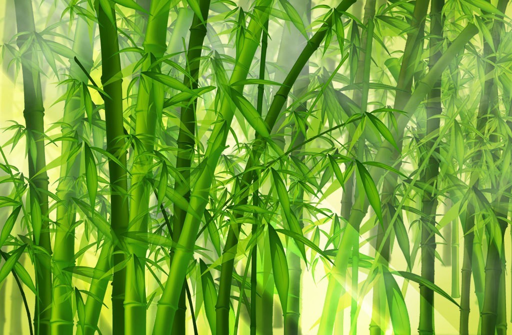 Anime Wallpaper Bamboo Green Nature Painting Texture