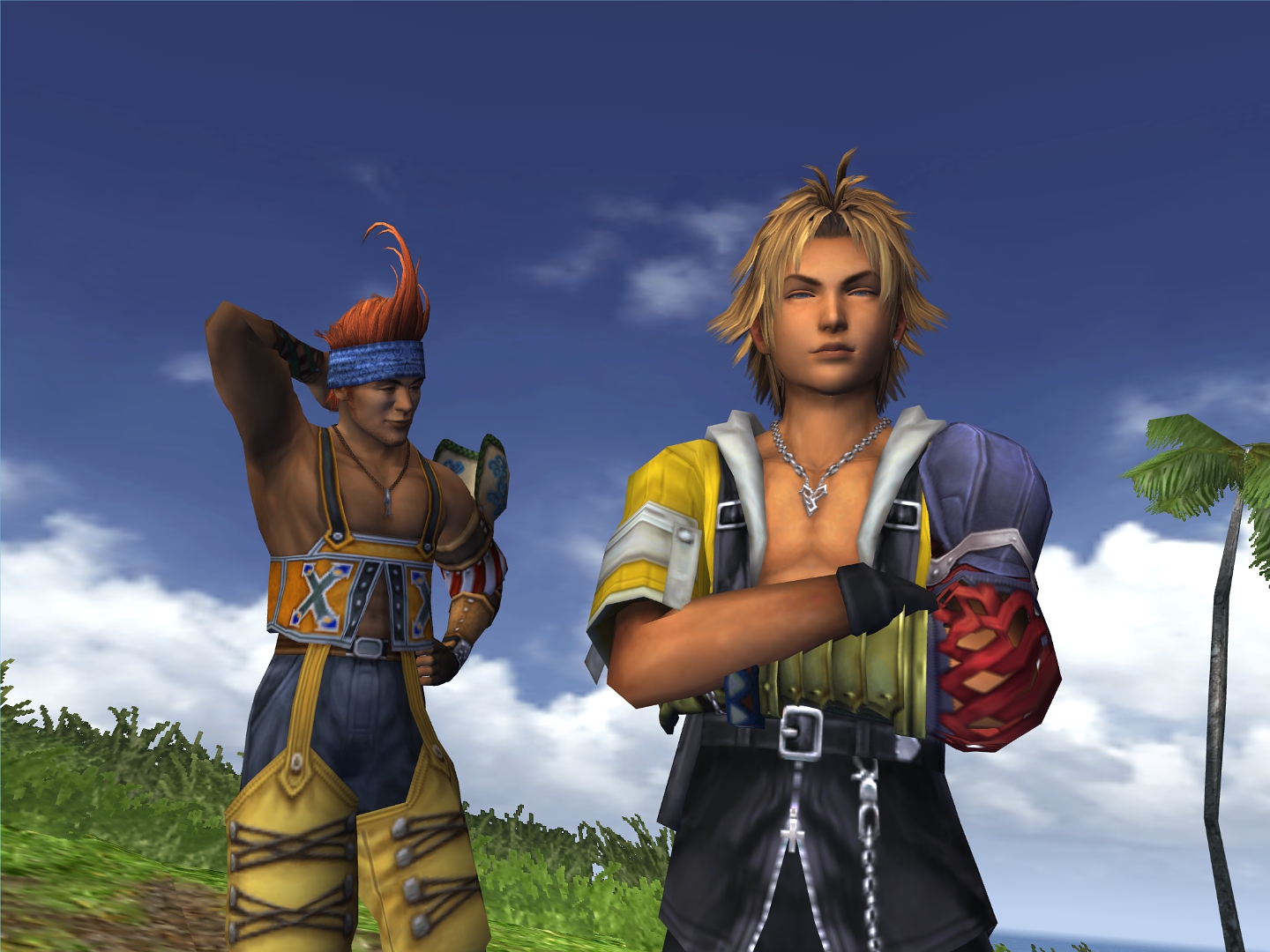 Final Fantasy X Image Tidus And Wakka HD Wallpaper