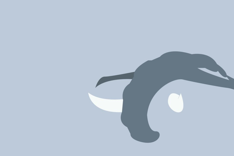 Minimalist Wallpaper Of Donphan Paperpull