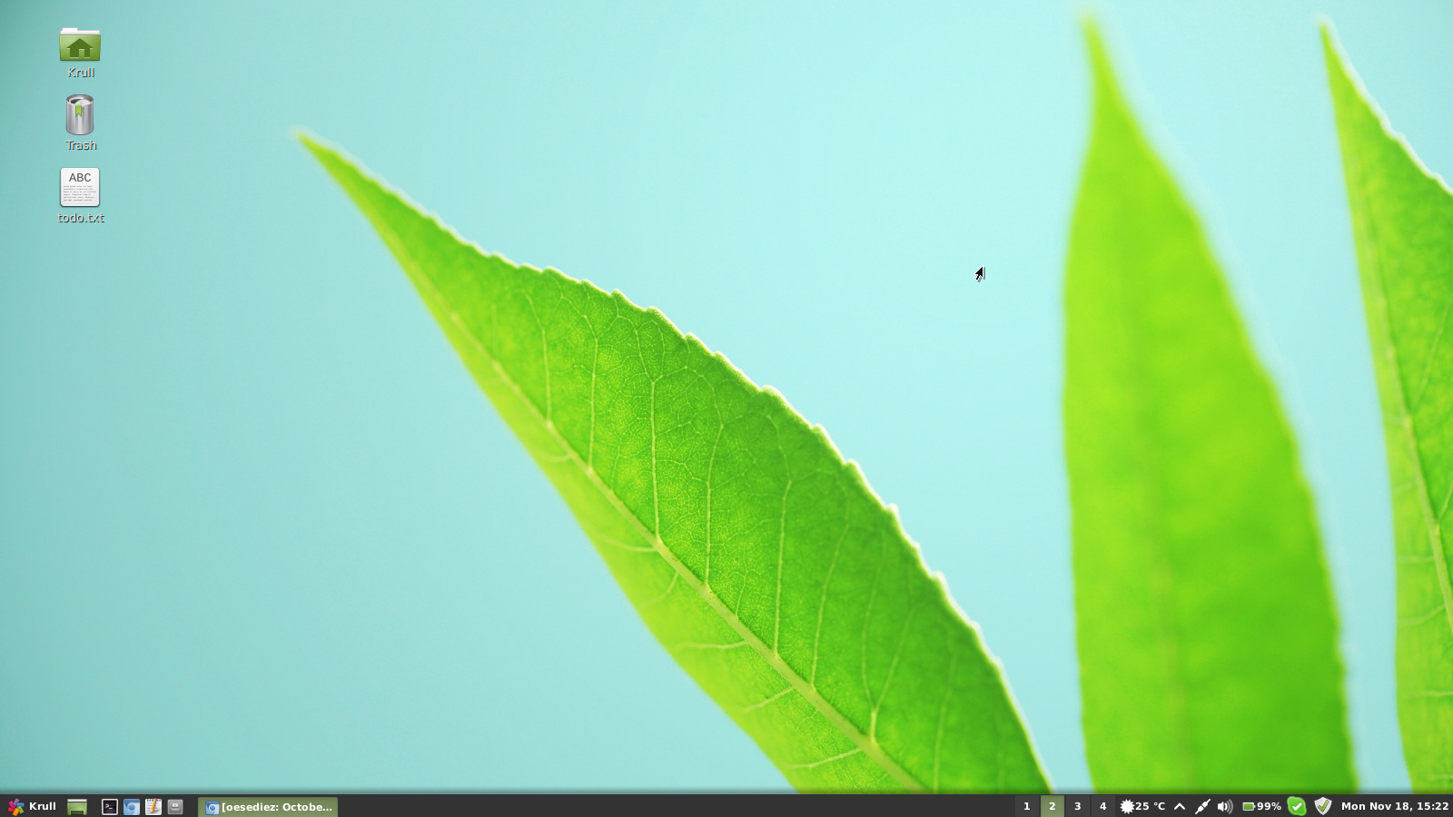 Oesediez The Current Linux Mint Desktop