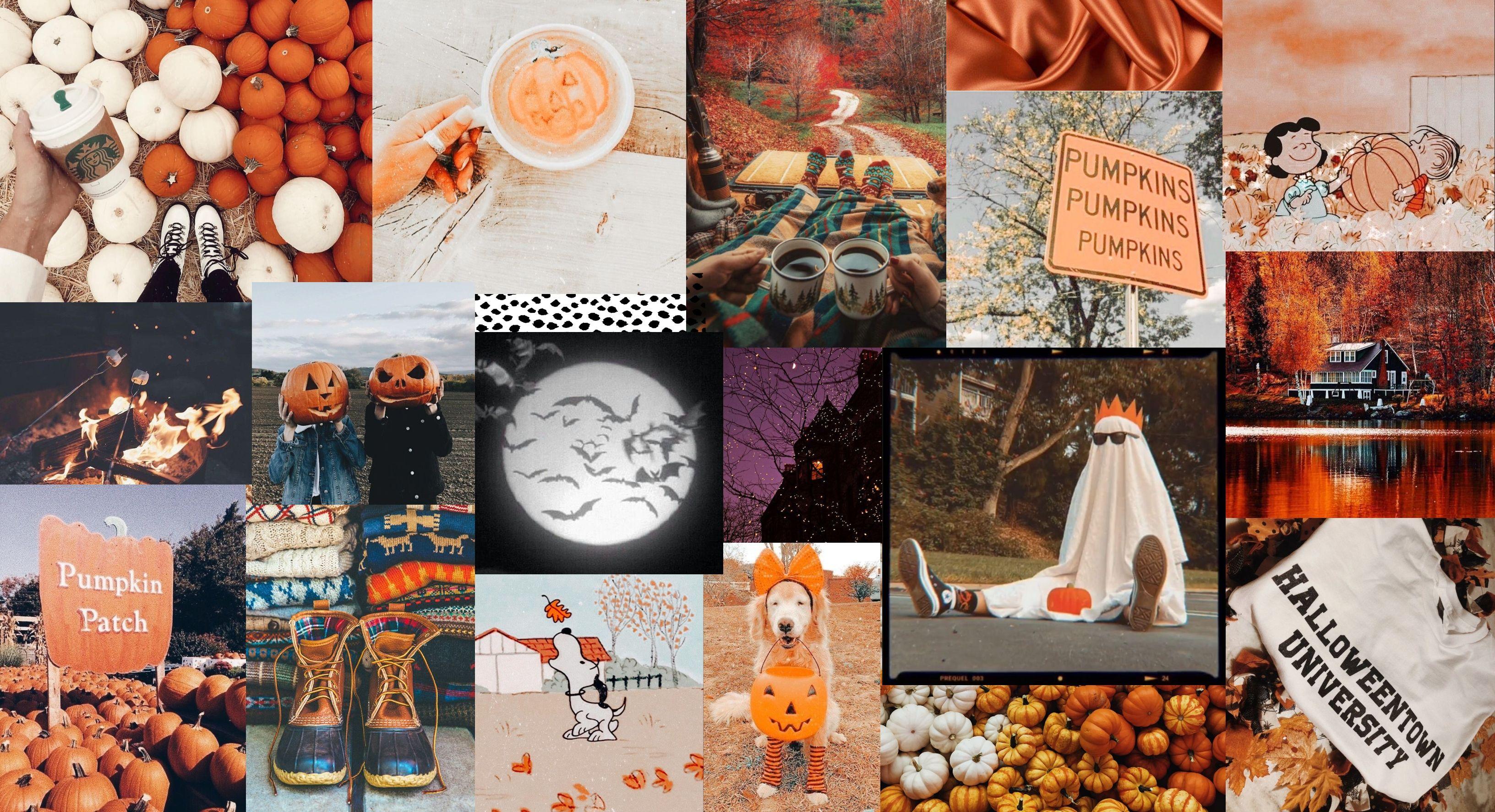 Spooky Desktop Wallpaper Halloween Cute Fall