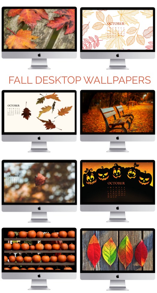 Fall Desktop Wallpaper Screensavers Things Do