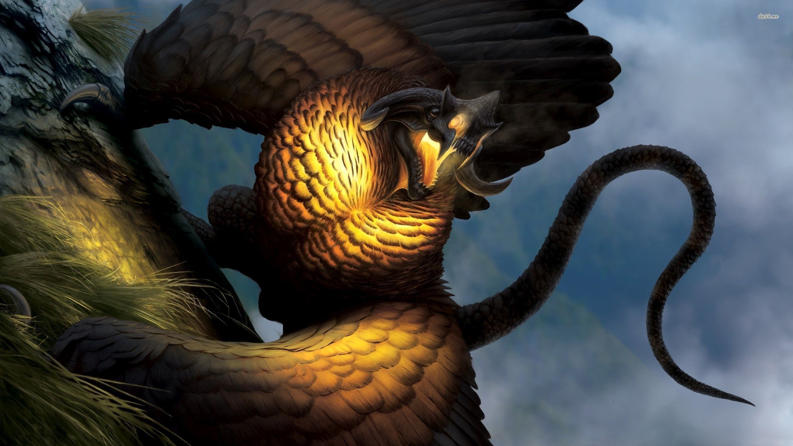 Feather Dragon Bird Tail Wallpaper Dragons Illustration