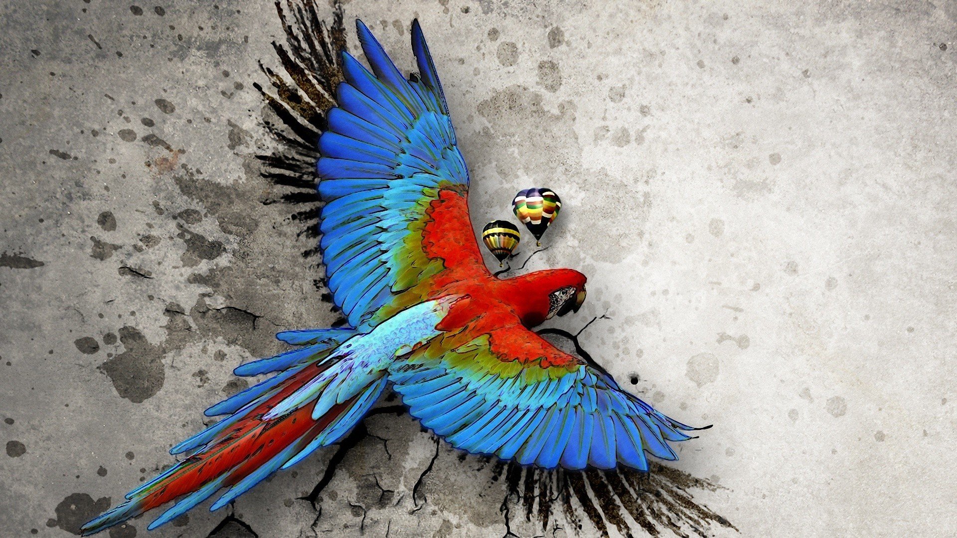 Macaw Parrot Bird Tropical Psychedelic Artwork Art Wallpaper