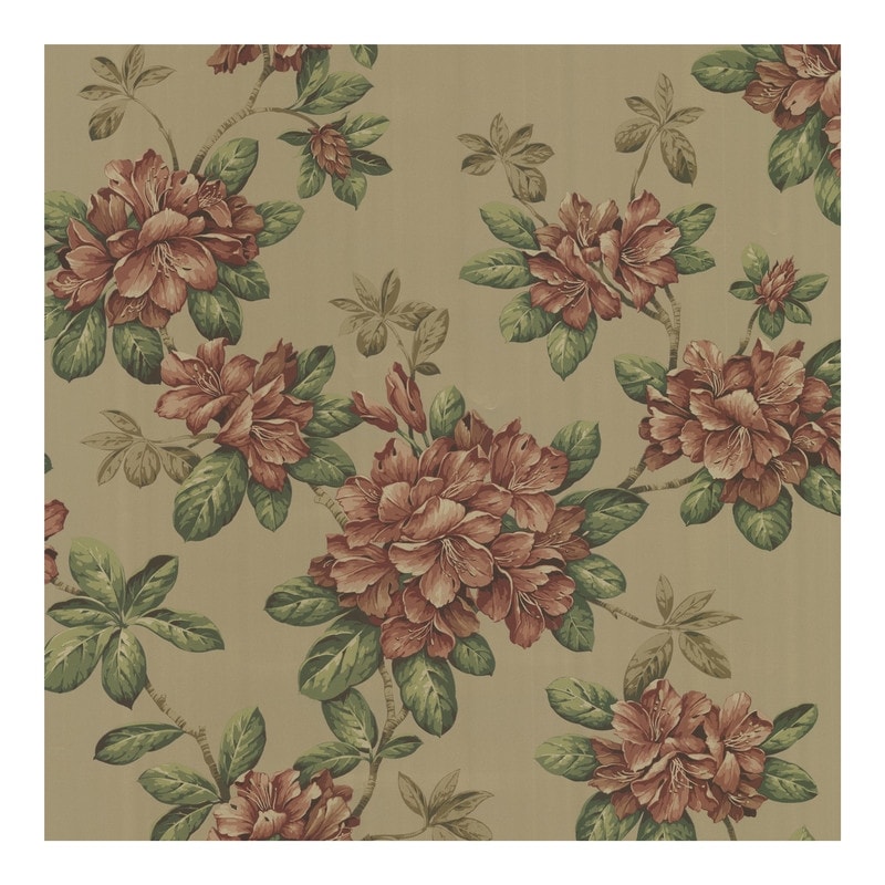 🔥 Free Download Shop Bree Burnt Sienna Lily Trail Wallpaper 324in X ...