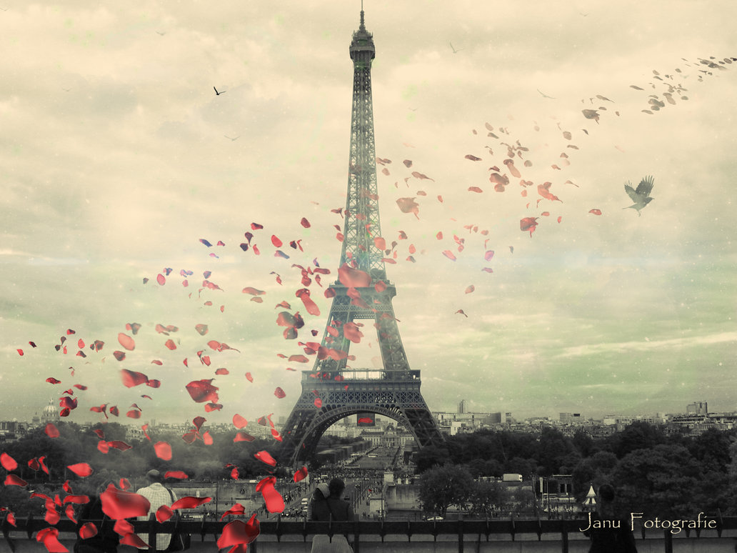 Love In Paris By Januphoto