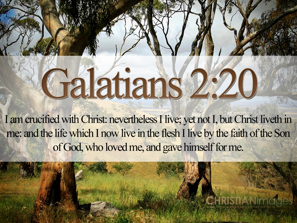 The Verse Of Day For April Is Found In Galatians